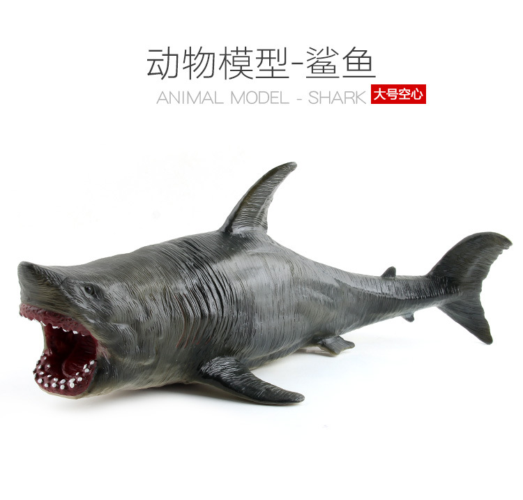 鲨鱼_01.jpg