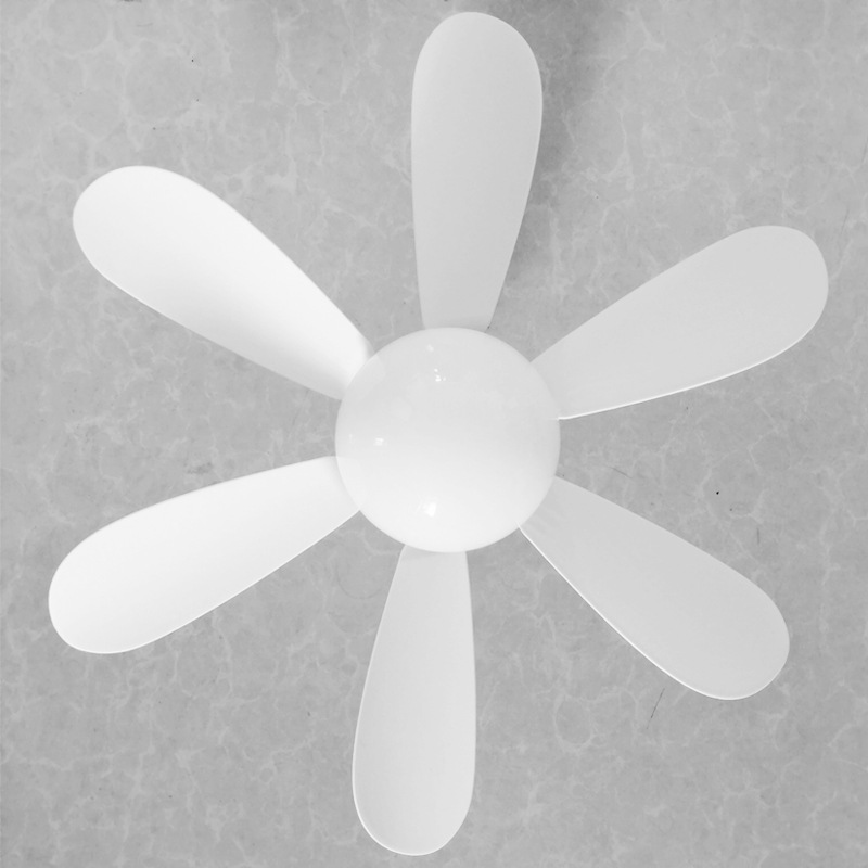 球形罩-六叶-螺口-顶部