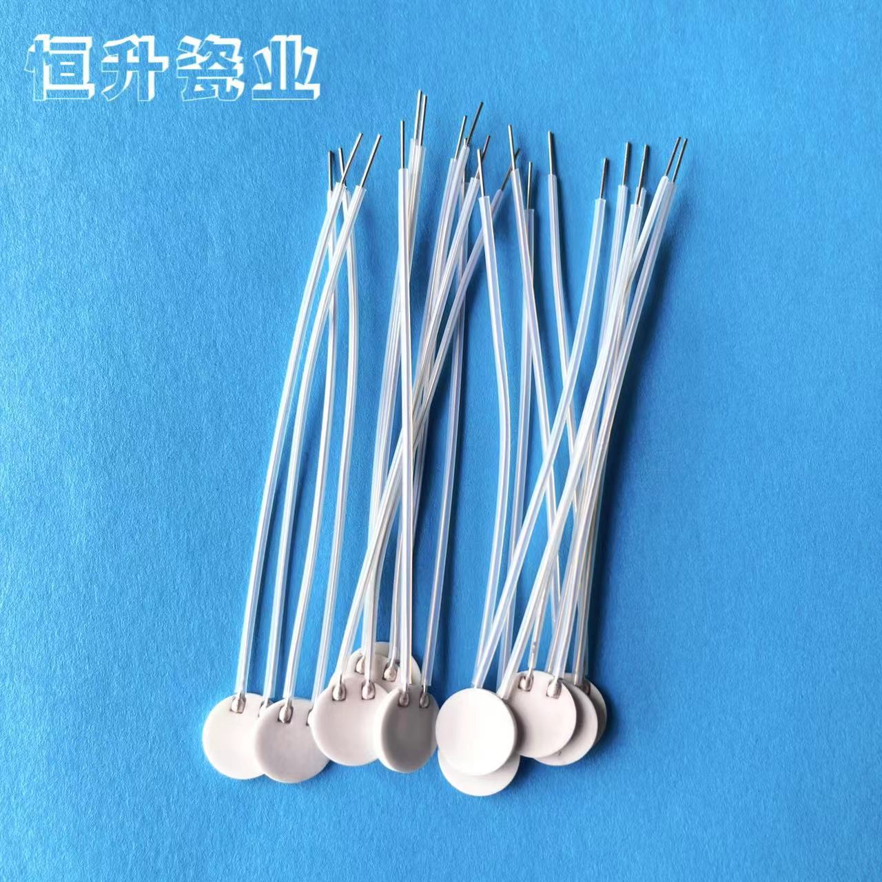 工厂直销MCH氧化铝高温陶瓷发热体发热片加热体电热片圆10*1.3