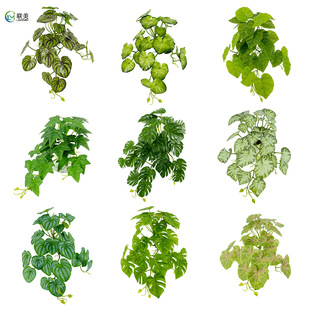 �羳�����ٗl�~���b������G�}��ɽ�������~ֲ����L�~���~29�^��