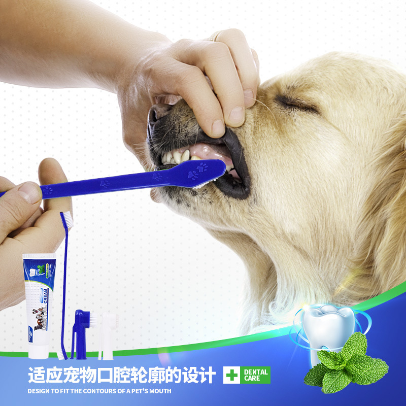 Pet Toothbrush Oral Cleaning Oral Toothpaste Set Cat Bad Breath Removal Dog Teeth Cleaner Edible Wholesale