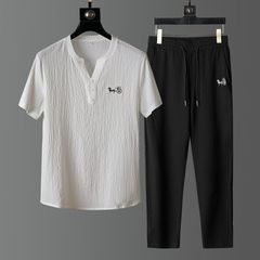 夏薄いカジュアルスポーツスーツメンズ新しい中国風のハイエンド V ネック刺繍半袖 T シャツ 2 点セット男性用