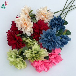 3�^ˮܽ�� ����ľ�� ��Ʒ�|�Ƶ���Ų廨���� ��Y�û����쾰�ٻ�