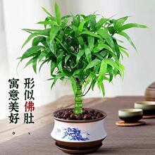 ��������Ժ��J���_�h�҃��̨�Gֲ�辰�Ϙ������ļ�����