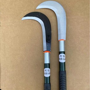 ������õ����⿳���Ԯa���N���P��h��砵��ֹ�����S�Ҵ������l