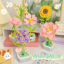 �eľ�����滨�����Լ��ݘ���С�w������ƴ����ߔ[����߶Y�����l