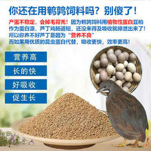 �J���u��������g����ϸߵ������x���׮a����Ϯa�����Ӻ�ˮ��