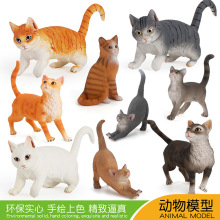 ���涯��ʵ��èģ�����߰�è������è��ͯ��̬��֪è���ְ����