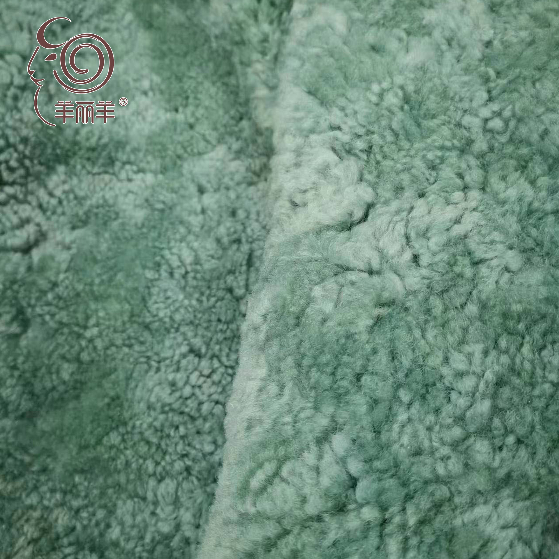 오션 그린