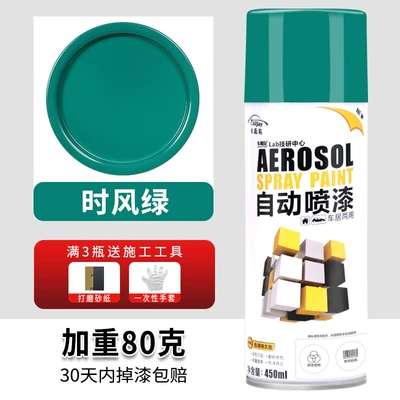 colors bright black silver paint Avtomobil boyası - 221-when-the-wind-green-450ml