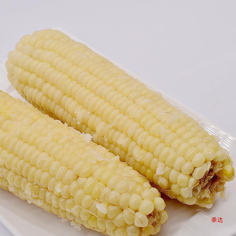 【10根】大棒新货东北新鲜甜糯玉米棒粘玉米速冻一等棒好吃软糯香|undefined