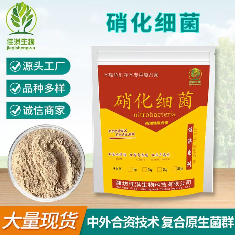 Нитрифицирующие бактерии в наличии аквакультура денитрифицирующие бактерии очистка сточных вод бактерии микроорганизм аммиак агент для удаления азота