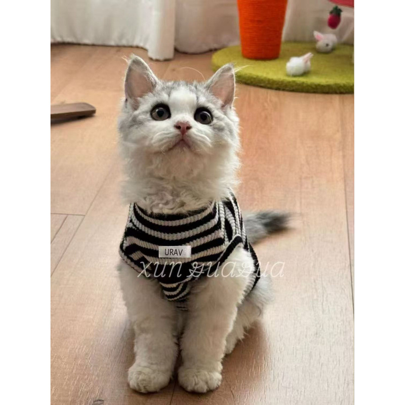 Ropa de gato alemán, perritos respirables, primavera y verano, delgados, antipello, felinos sin mangas, mascotas, ropa de dos pies.