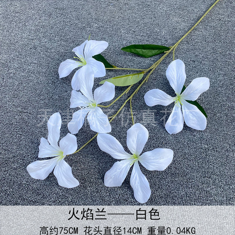 Flores de boda de alta calidad de flores de madera verde de bambú y lirio de pino masson de alta calidad