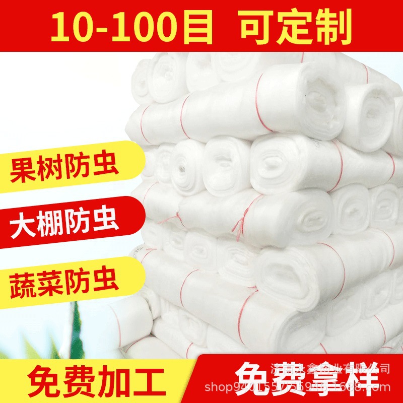 蔬菜大棚40目防虫网 全新料果树pe防虫网农用防虫网罩