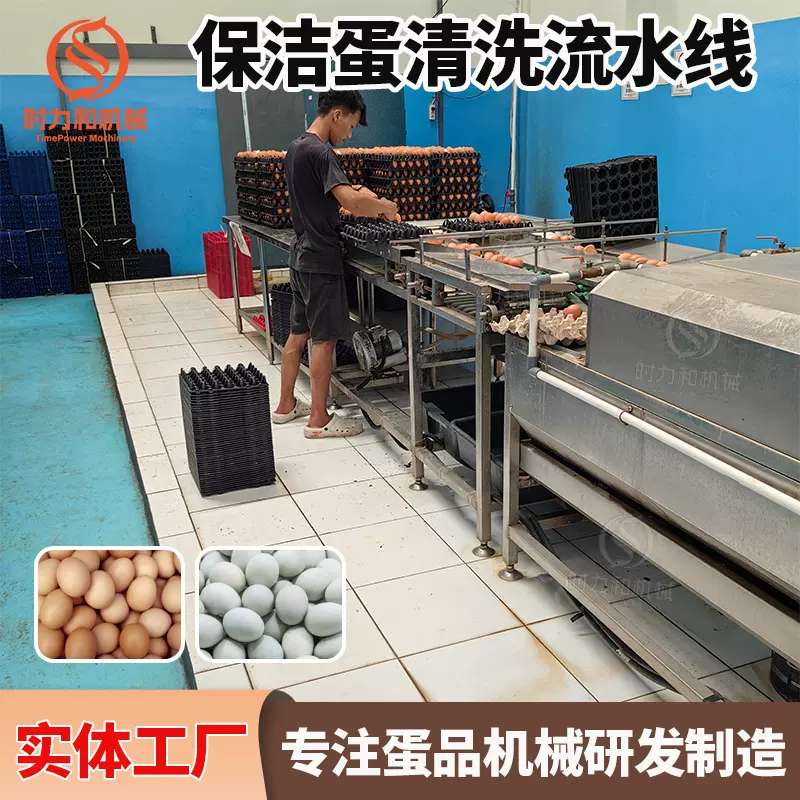 出口全自动大型洗蛋机水循环双排洗蛋机保洁蛋生产线整机不锈钢