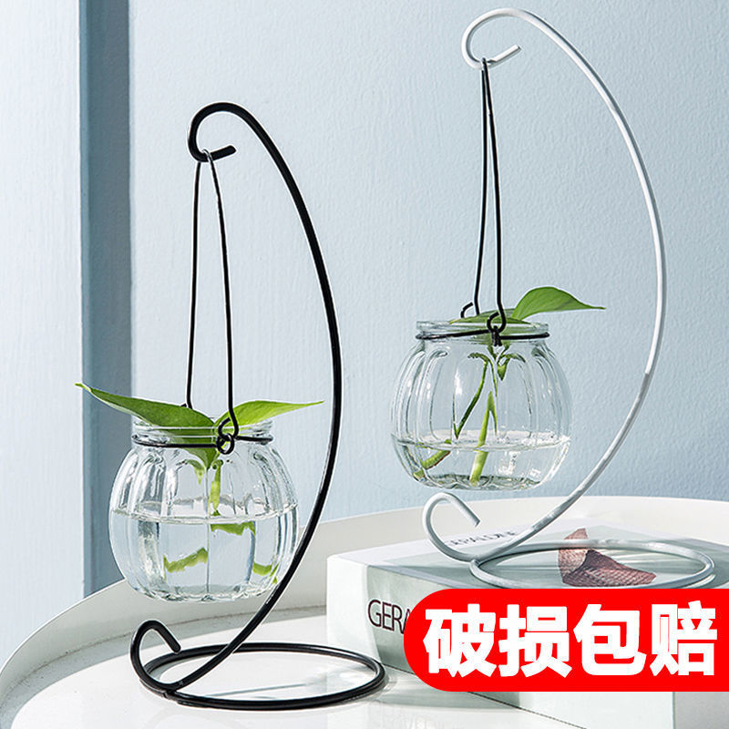 生态鱼花共养缸透明玻璃水培瓶造景器皿绿萝盆栽桌面装饰摆件