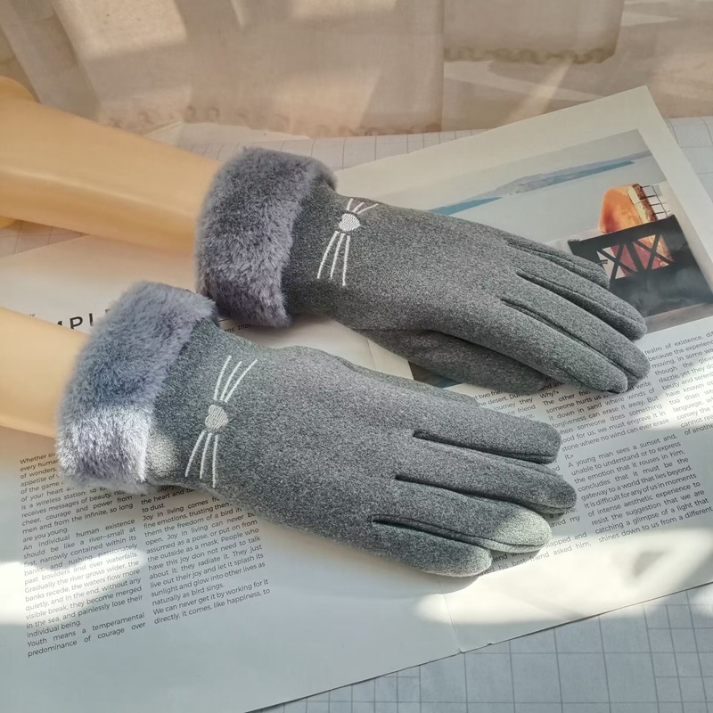 드벨벳 고양이털 입암컷 그레이