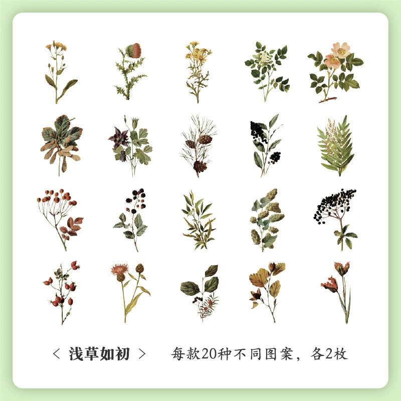 Sticker Set, 40-Sheet Assortment, Butterfly & Floral Designs for Kids' Bags and Planners