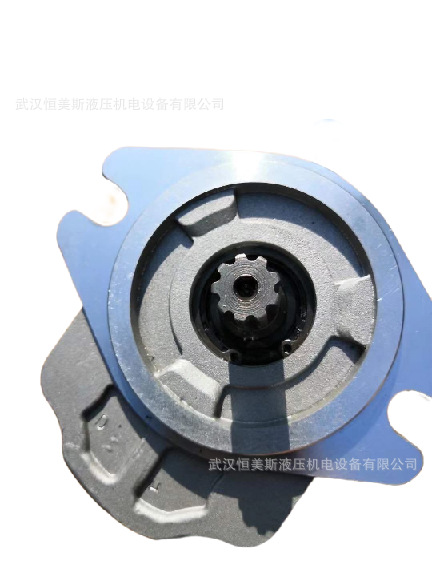 美国DANFOSS萨奥丹佛斯齿轮泵NP2NN/8,0RN01BAP1F4F4NNNA/NNNNN