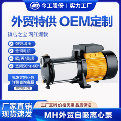 クロスボーダーMHステンレス多段階遠心ポンプESPA110V/220v英規美規水道井戸水増圧ポンプ