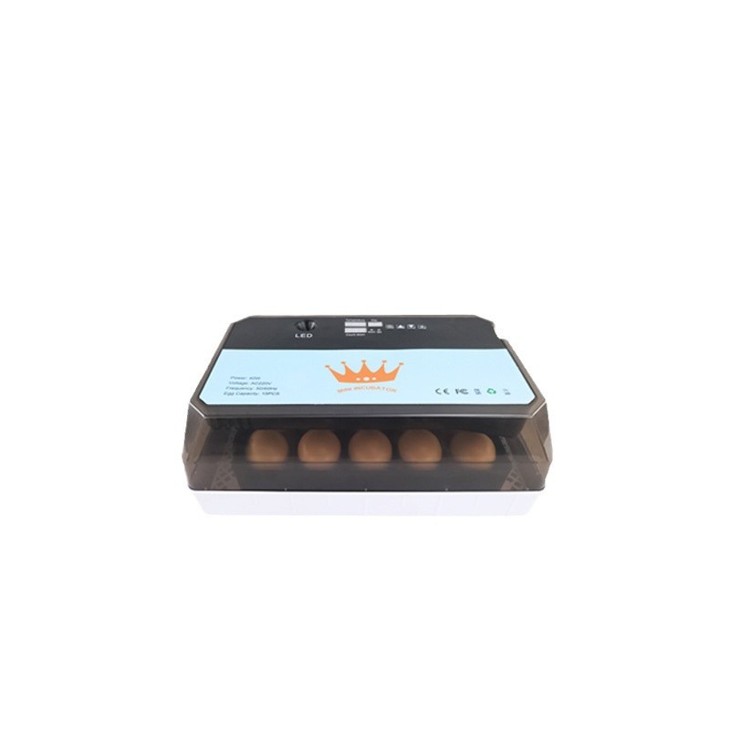 15 automático pequeño hogar incubadora pollo pato codorniz paloma incubadora mini alimentador de agua hervidor