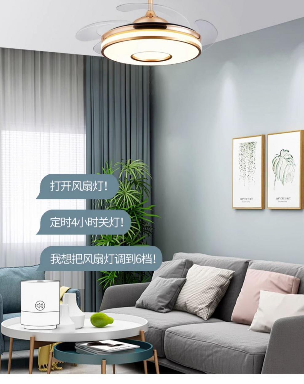 40293d31-a9e0-492c-a622-0c95ebcadc57.jpe