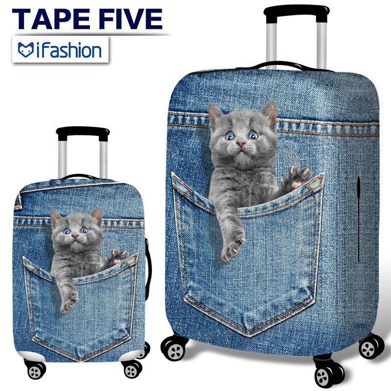 데님 블루 고양이