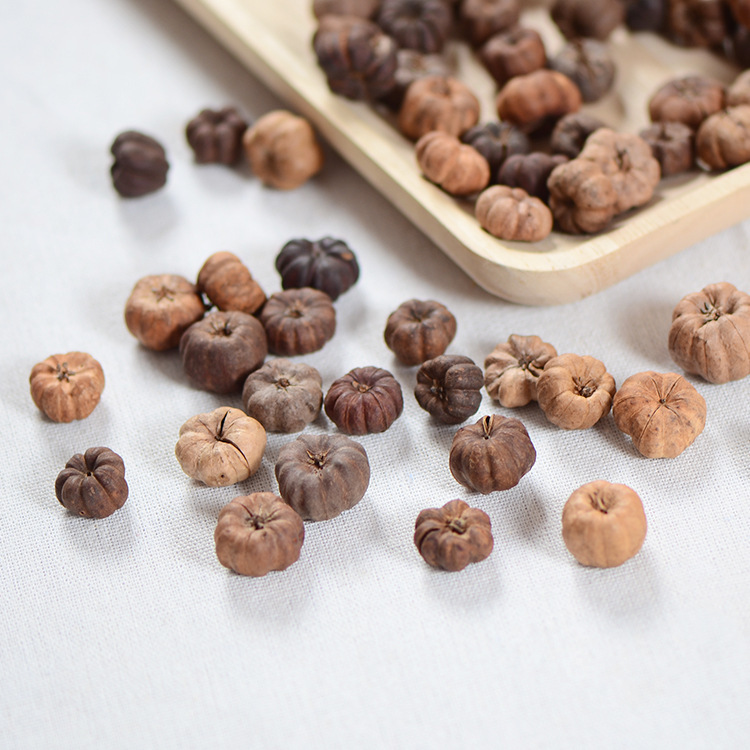 Dried Small Orange Pumpkin Plant Flowers, Small Pumpkin Fruits, Eternal Flower Scented Sachet, Forest-Style Wreath Glass Dome Materials