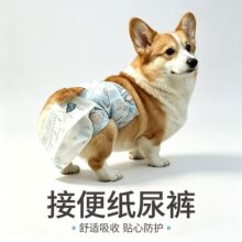 狗狗纸尿裤拾便裤接便袋屎尿二合一
