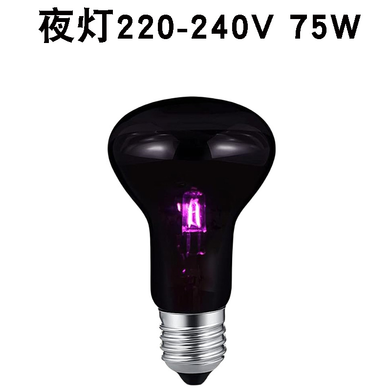R63220v 야간 조명 75w
