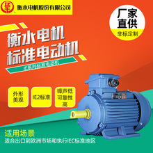 IE2ϵ��380V�� ׼늄әCIP55늹�ί�T����׼�F؛������ˮ��ţ늙C