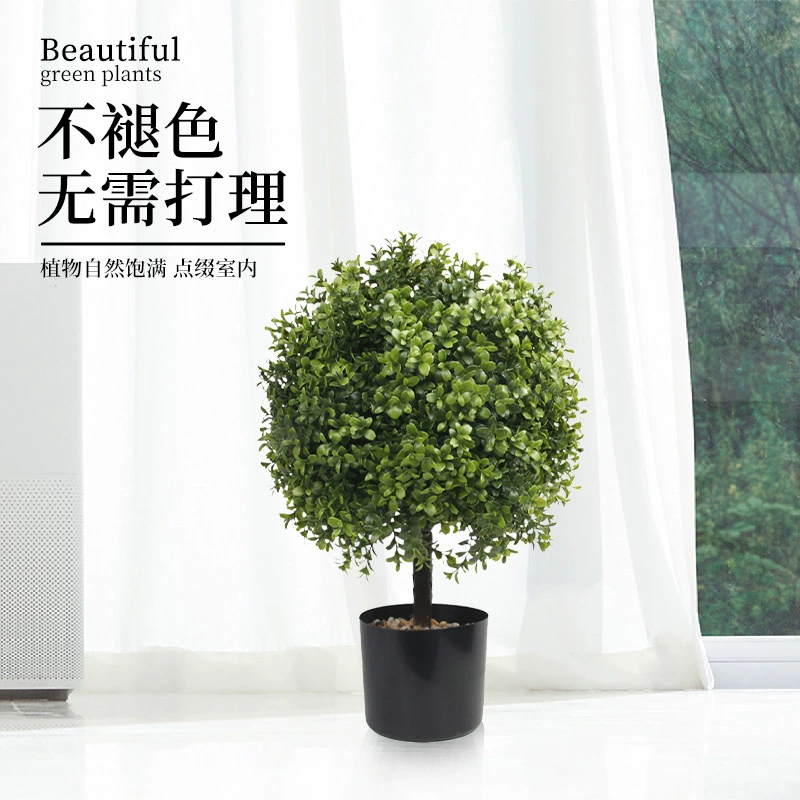 Amazon Simulation Green Plant Basin Plant Planted Olive Tree Bonsai Bonsai Interior and Outside Porch Courtyard Ido Popular Wood Wholesale