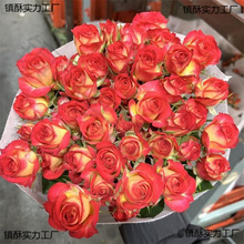 ��ɫ�űȶ��^õ���r�����������������ֱ�lͬ�����f��ˮ�ٺϲ廨