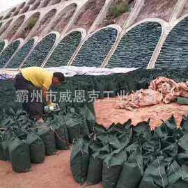 整箱批发植生袋 乡村河道生态改造常备绿化耗材
