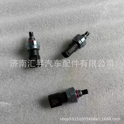 110R-000095 Pressure Sensor (Other walking systems)