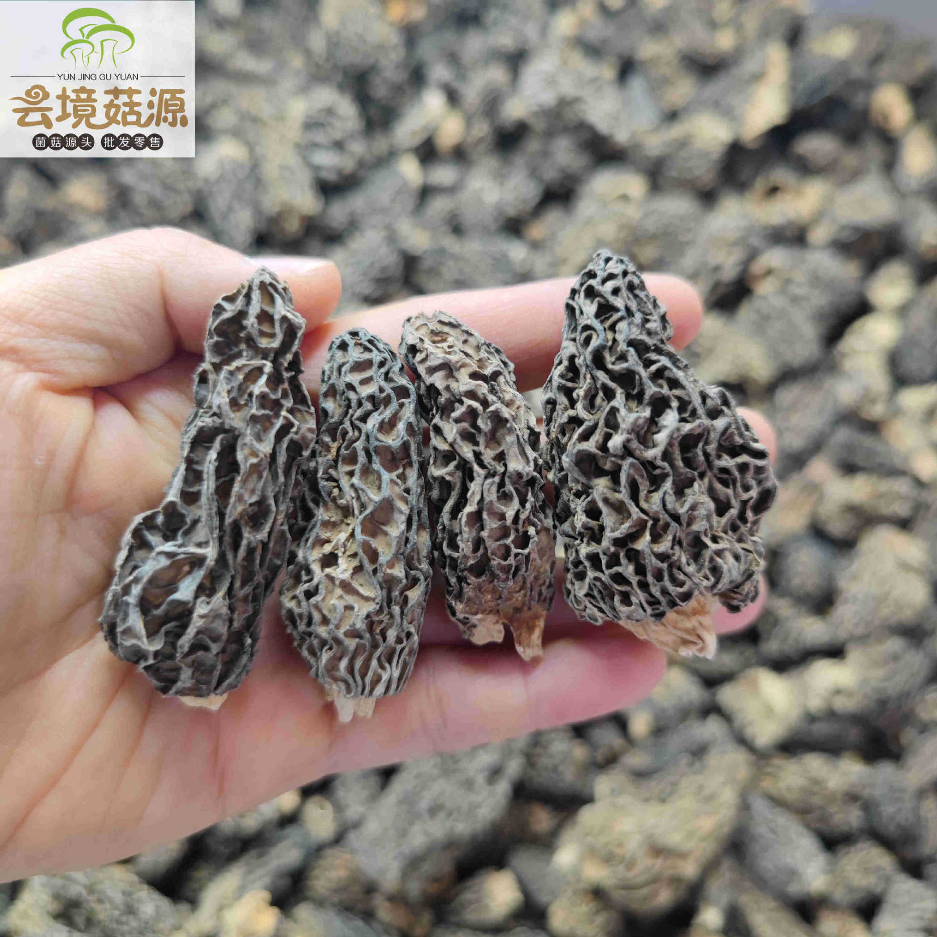 1a10f1ad0dce3fe2ba44ad99820a8b