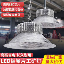 led���V�� �}��S��܇�g����ͣ܇���҃Ȼ@��������������F؛���l