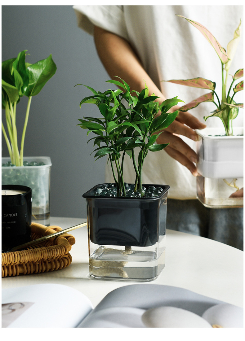 透明可视懒人绿萝自动吸水花盆花瓶方形大号塑料水培绿植养殖盆-