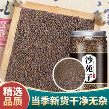 野生特级沙苑子250g茶包菟丝子沙苑子枸杞茶男士滋补泡水喝的功效