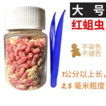 �r���ش�t���x���D�t�x��~�����x����x�D����Ϫ��Ұឰ����a�~