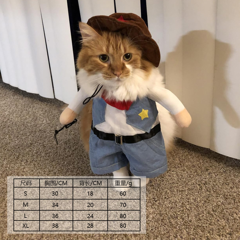 서부 카우보이