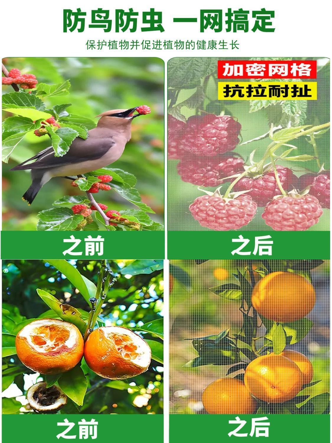 Fruit tree bird-proof net cover, fruit tree lotus pod bird-proof and insect-proof net cover, suitable for Jiabao, loquat, cherry, blueberry orchards and potted plants