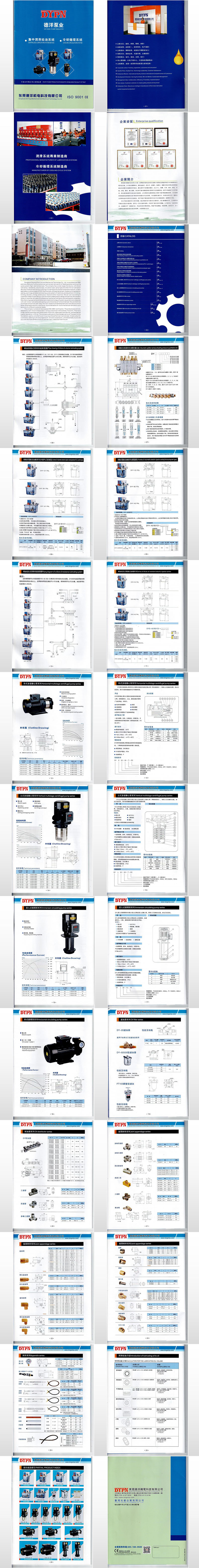800XDEYANG CATALOG 1_00