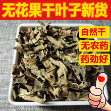 无花果叶痔。疮新鲜药用无花果叶子新鲜晒干当季新货药材500g包邮