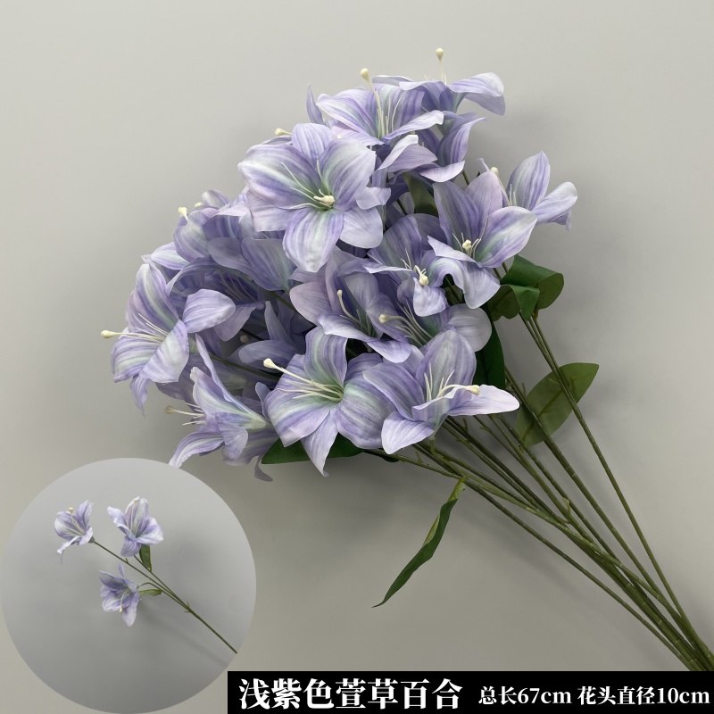 연한 보라색 헤메로칼리스 백합