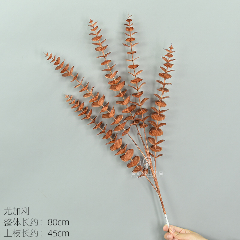 유칼립투스 다크 브라운