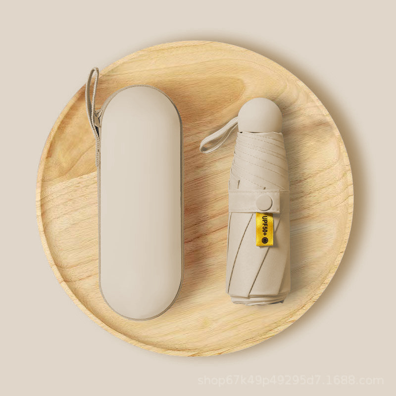 [시카모어 라이스] 50% 할인, 8 본, 풀 차광 비닐 + 박스