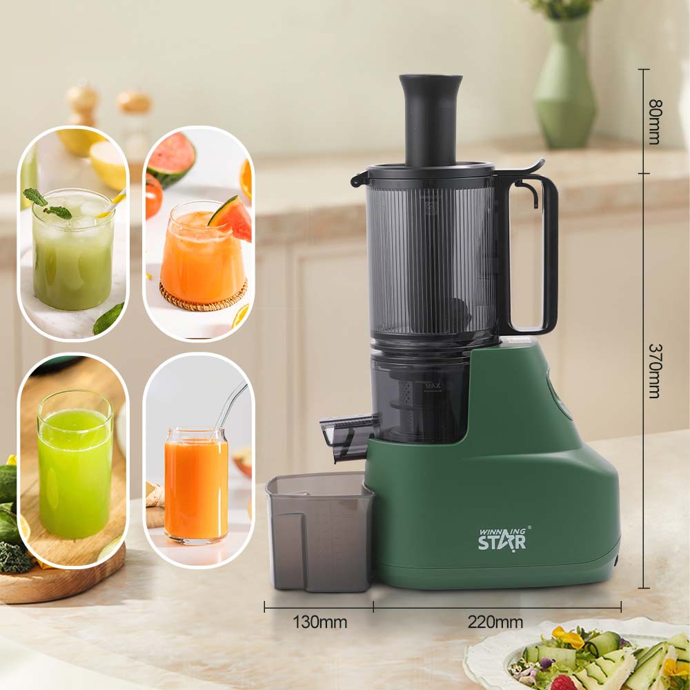 Winning star hogar transfronterizo 300ml conveniente comida ligera máquina de jugo de separación de orujo máquina de jugo de gran calibre