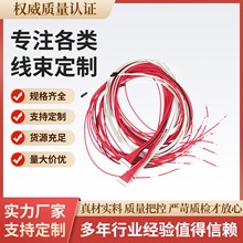 定制新能源线束 工商储能线束 堆叠电池采集线 端子连接线 动力线